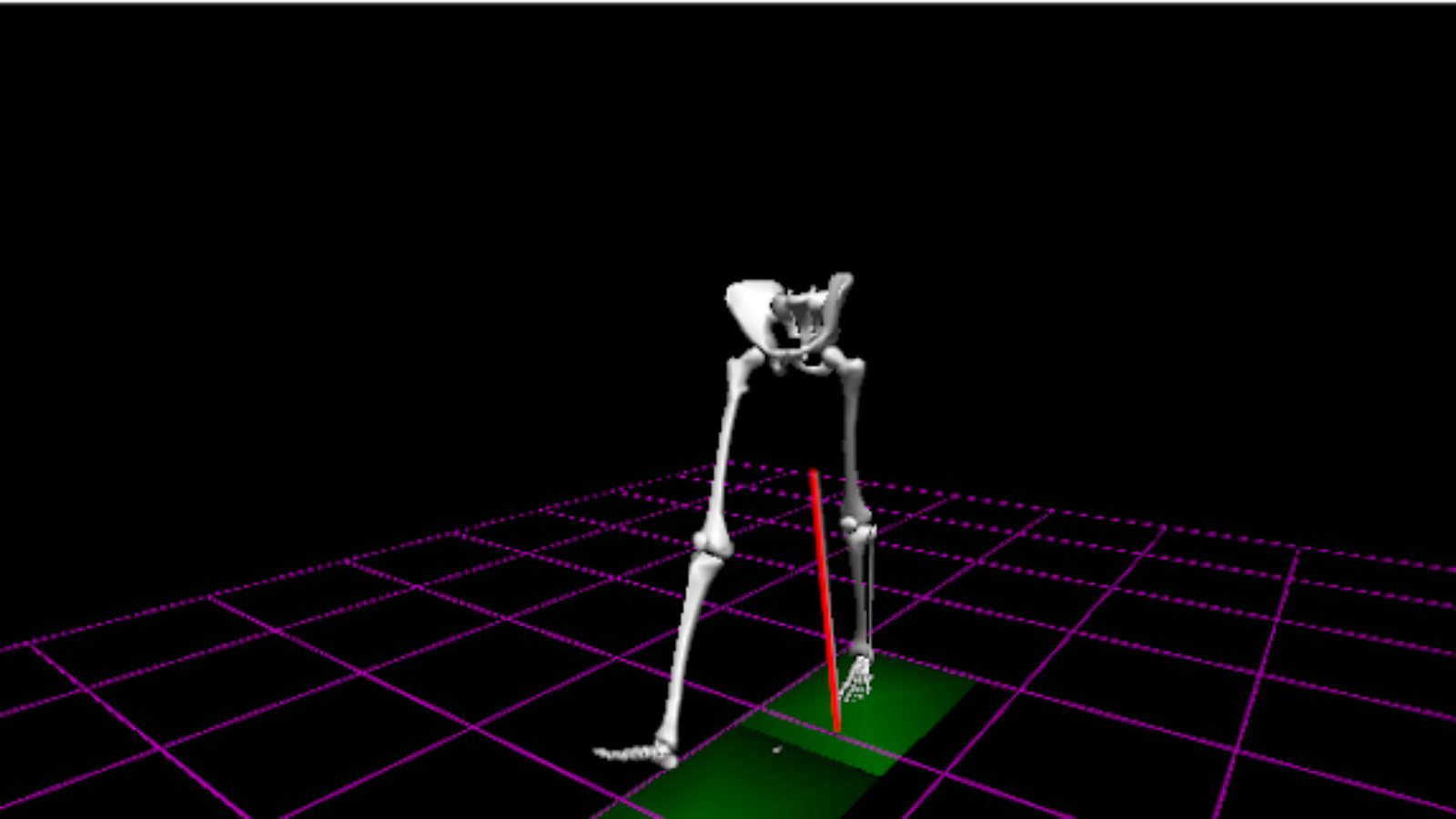 A rendered skeleton with ground reaction force vectors