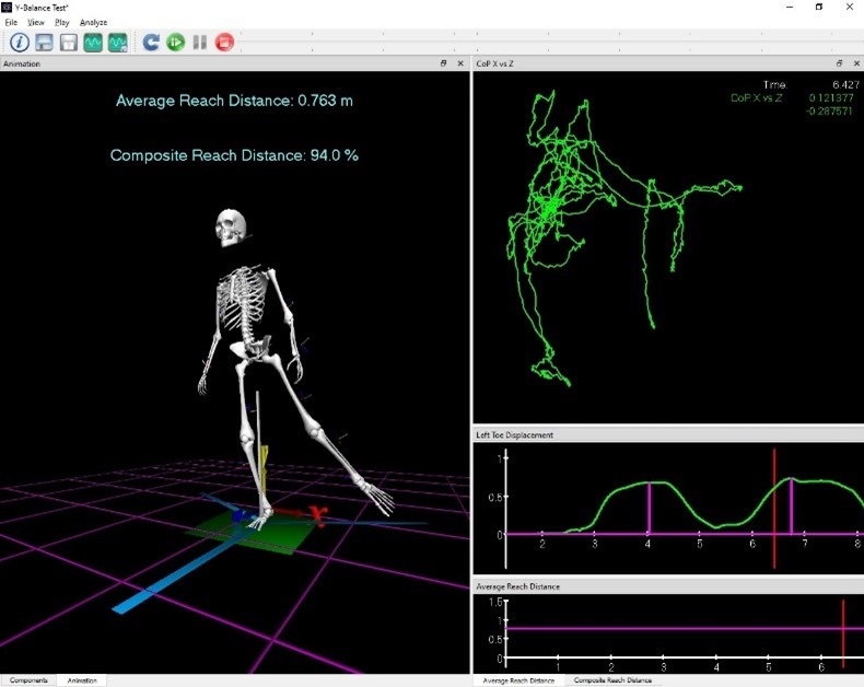 A variety of data displays in The MotionMonitor