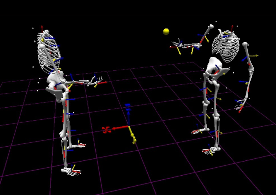 Two subjects rendered as skeletons, playing catch